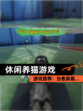 【休闲养猫游戏】游戏推荐：治愈系猫…