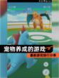 最新【宠物养成的游戏】游戏排行分享