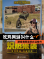 【吃鸡网游叫什么】游戏推荐里的必玩佳作